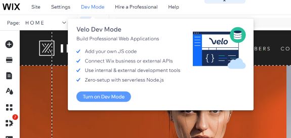 JavaScript development