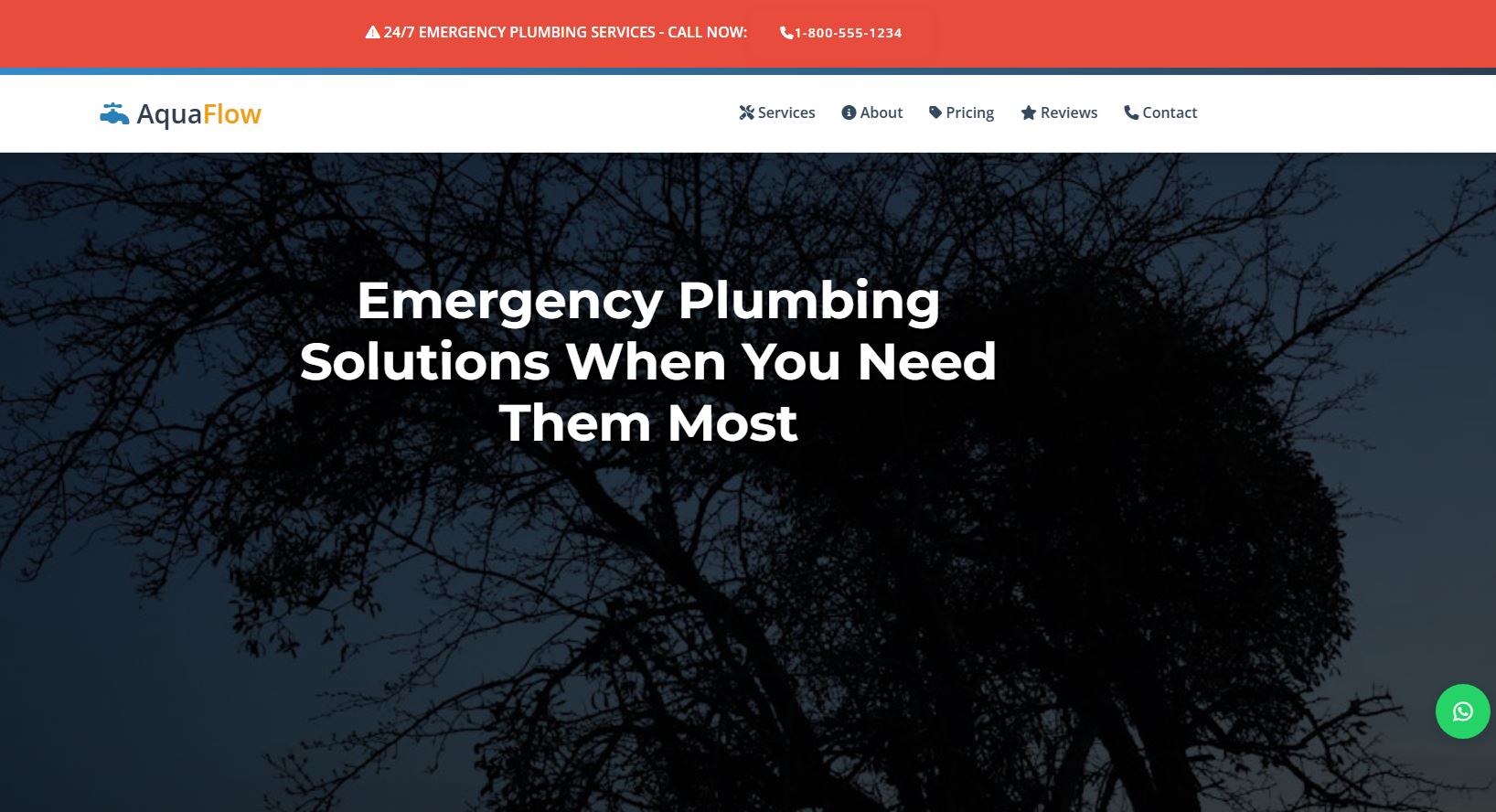 Plumbing Service